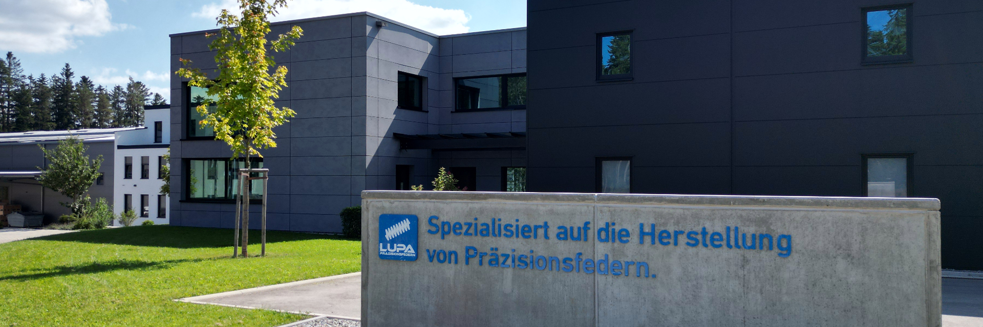 Imprint :: LUPA Präzisionsfedern GmbH
